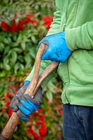 Showa all weather gardening gloves