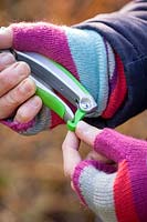 Adjusting the catch on some secateurs. 