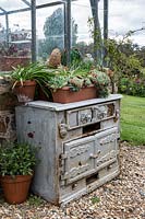 An upcycled antique cast iron stove being used to display potted succulents and strappy leaved plants outside a glasshouse