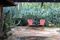 View across crazy-paved terrace to a pair of vintage patio chairs in desert cactus garden with Opuntia 