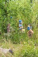 Insect or bug hotel and bird boxes  for wildlife - The Thames Water Flourishing Future Garden - RHS Hampton Court Palace Garden Festival 2019 