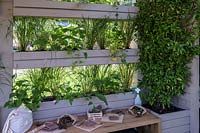 Outdoor room with green-wall shelves for planting herbs. The Year of Green Action Garden. RHS Hampton Court Palace Garden Festival, 2019.