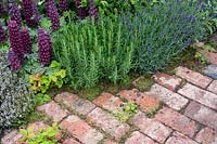 Brick path and perennials in 'An Imagined Miner's Garden' designed by Colin and Mary Bielby at RHS Chatsworth Flower Show, 2019.
