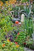 Mixed bed and pumpkins on wooden steps