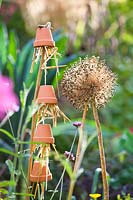 Insect house and leek seedhead.
