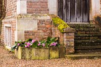 Raised bed made using old paving slabs and planted with bergenias at Doddington Hall, Lincolnshire in March.