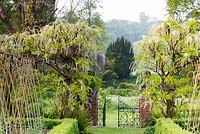 Gate leading out of the Tunnel Garden between white Wisteria floribunda 'Alba' growing on the pergola at Heale Gardens, Middle Woodford, Wilts in May