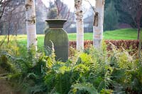 Decorative vase surrounded by Polystichum setiferum 'Herrenhausen' from within Himalayan Birch Copse at Littlethorpe Manor, Yorkshire, UK. Designed by Eddie Harland.
