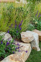 Detail of a raised garden bed with a drystone wall made out of rustic sandstone rocks. Planted with Poa labillardieri and Salvia 'Ostfriesland' 