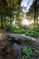 Bridge over Tarn Ghyll Beck in Tarn Ghyll Wood at Parcevall Hall Gardens, Yorkshire, UK. 