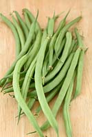 Phaseolus vulgaris 'Speedy' - harvested Dwarf French Beans
