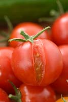 Solanum lycopersicum  'Sugar Gloss'  Cherry tomato  Syn.  Lycopersicon esculentum  Split fruit that has been picked  