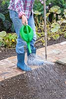 Woman watering newly sown seeds with watering can