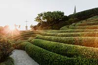 Sunset view of topiary hedging. Les Jardins d Etretat, Normandy, France