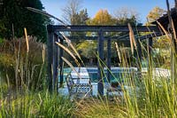 View through grasses and pergola to swimming pool and ancient olive trees beyond at large surrey garden designed by Amanda Patton. 