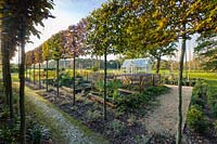 An avenue of pleached Carpinus betulus and vegetable garden 
