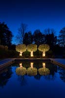 Illuminated ancient Olive trees providing focal point at the end of the swimming pond at night, in large Surrey Garden