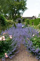 View through The Rose Garden at Wollerton Old Hall Garden, Shropshire.