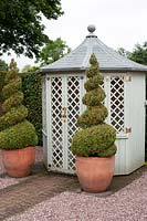 Two buxus spirals in pots outside the summerhouse at Wollerton Old Hall Garden.