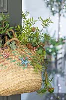 Woman basket with a mix of foliage hanging in hallway ready for use at Christmas