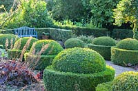 Double row of topiary Egg Cups in Buxus sempervirens with seat. Veddw House Garden, Monmouthshire, Wales, UK. 