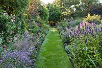Herbaceous border with grass path