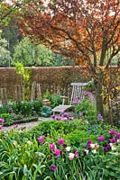 Wooden chair in relaxing area, with Prunus cerasifera and bed of mixed flowering tulips.