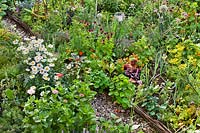 Mixed beds with vegetables, herbs, annuals and perennials. 