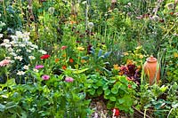 Beneficial beds with annuals and perennials.