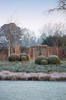Buxus sempervirens in the winter garden at Wakehurst, UK