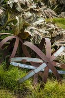 Carex tumulicola, Gunnera tinctoria - Steel ring sculpture among Foothill Sedge, Gunnera