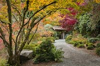 Acer palmatum cvs. - Japanese Maples frame gravel path leading to garden entrance gate
