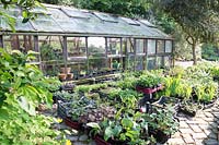 Small nursery outside a greenhouse