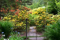 Fence with gate at Hergest Croft Gardens, Azelea Garden