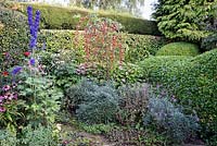 Malus 'Sun Rival' surrounded by dense hedges and flowering plants selected for invertebrates including Erysimum 'Bowles' Mauve', echinacea and bugle.