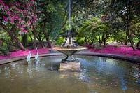 Rhododendrons shed their petals around the Neptune Cascade and Fountain, at Holker Hall, Cumbria 