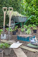 Plants, bulbs and tools ready for planting a new border 