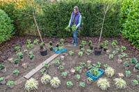 Woman placing potted plants in new border ready for planting