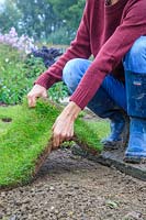 Woman laying grass turf on top of newly planted bulbs