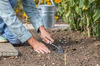 Using a hand trowel to cover newly sown seeds with soil 
