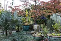 Teacup Garden at Chanticleer Gardens - water bowls, fountain and container gardens planted with tropical foliage