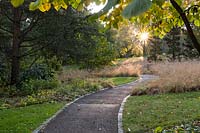 Sunrise at Chanticleer Gardens - path meandering through landscape. Contrast between mown lawn and ornamental grasses