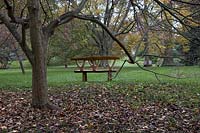 A handcrafted bench mimics the tree branches  beneath which it is set. Chanticleer Gardens. Landscape view.