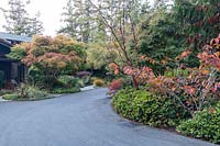 The driveway approach to the home is lined with mature borders in autumnal colours. Foliage colour and texture is key while both deer resistance and drought tolerance are essential