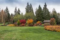 Large borders within  country garden in fall filled with colourful, deer-resistant and drought tolerant conifers, trees, shrubs and perennials. Cabin and arbor as focal points. Prominent display of Amsonia hubrichtii