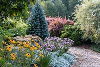 A deer-resistant, drought tolerant garden border with informal meandering path. Large mossy boulders and colorful conifers, trees, shrubs perennials and bulbs.