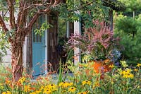 Cabin framed by adeer-resistant country garden planted with a sweep of Rudbeckia fulgida var. sullivantii 'Goldsturm', accented by peeling bark of Acer griseum and tall orange container.