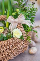 Woven basket planted with Ferns and Primula flowers, tied with bow
