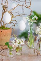 Small glass vases with Prunus spinosus - Sloe - blossom, Hamaelis - Witchhazel branch in pot with eggs 