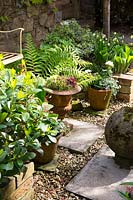 Collection of small containers are filled with low maintenance planting, placed on slabs on gravel by stone wall